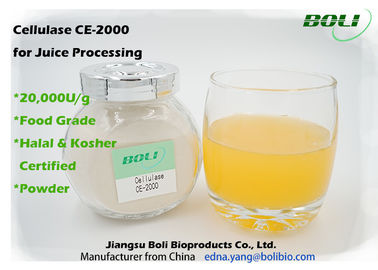 De zandige Beige Cellulase van de Poedercellulose, Industriële Microbiële Cellulose 20000 U/g