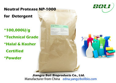 Technische Proteolytic de Enzymen Neutrale Protease NP van het Rangpoeder - 1000 voor Detergens