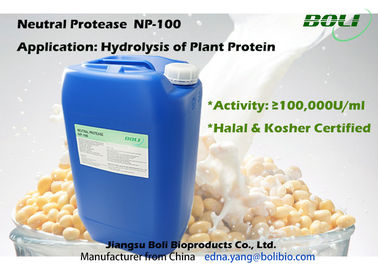 Neutrale Protease voor Hydrolyse van Installatieproteïne, Industriële Productie van Proteaseenzym